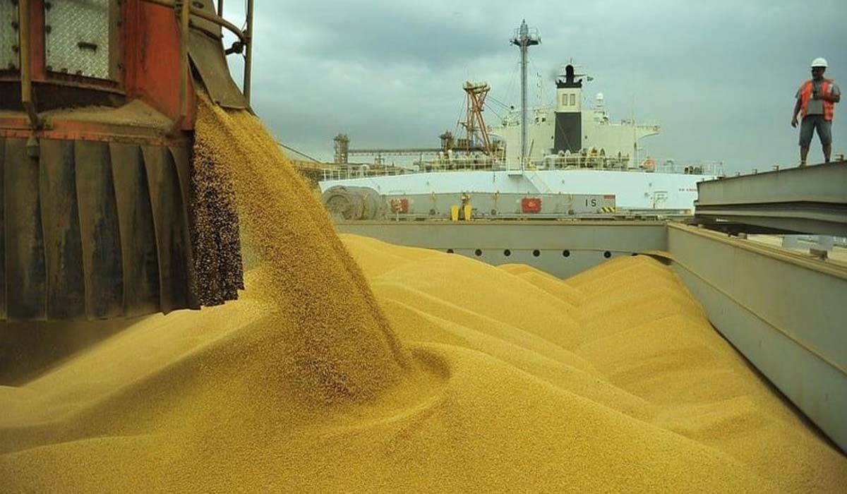 Brasil vai colher 149 milhões de toneladas de soja, diz consultoria
